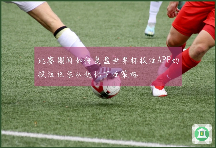 比赛期间如何复盘世界杯投注APP的投注记录以优化下注策略