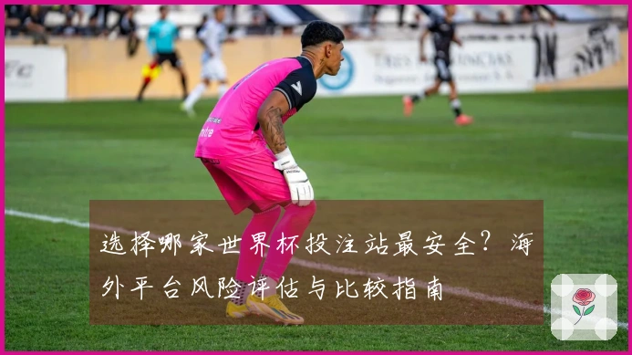 选择哪家世界杯投注站最安全？海外平台风险评估与比较指南