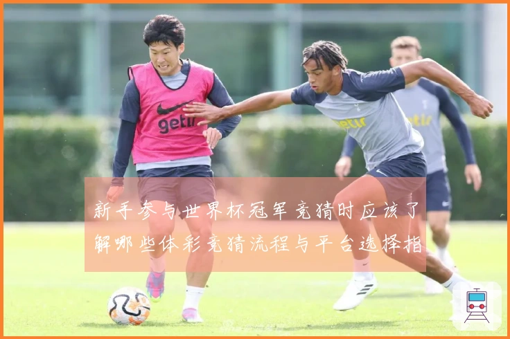 新手参与世界杯冠军竞猜时应该了解哪些体彩竞猜流程与平台选择指南