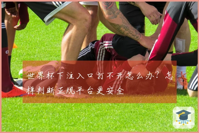 世界杯下注入口打不开怎么办？怎样判断正规平台更安全